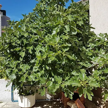 Apartment Aduro Sibenik